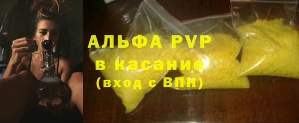 стаф Горнозаводск