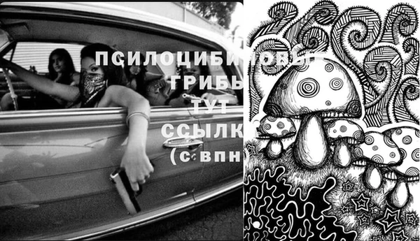 стаф Горнозаводск