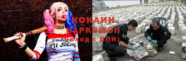 мдпв Горно-Алтайск