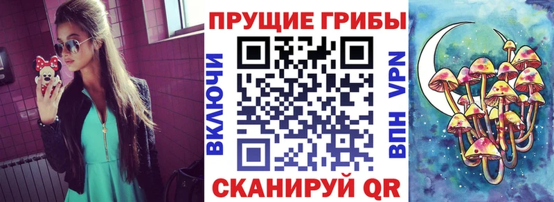 мориарти телеграм  Подольск  Псилоцибиновые грибы Psilocybine cubensis 
